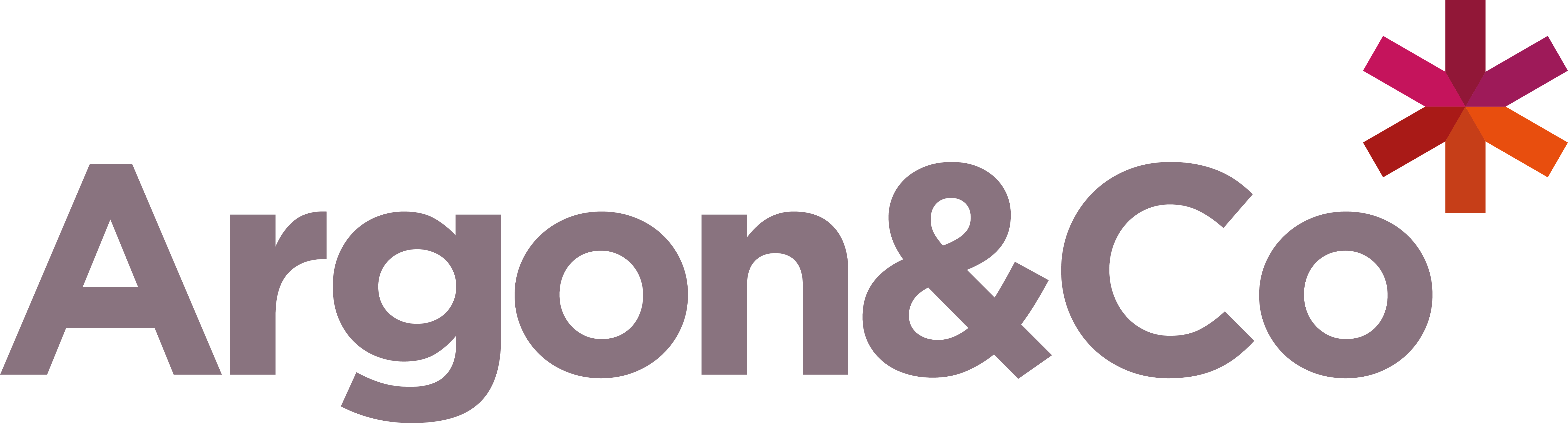 argon   co logo