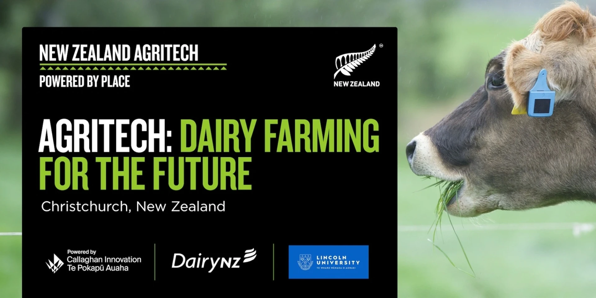Dairy Farming for the Future NewLogo