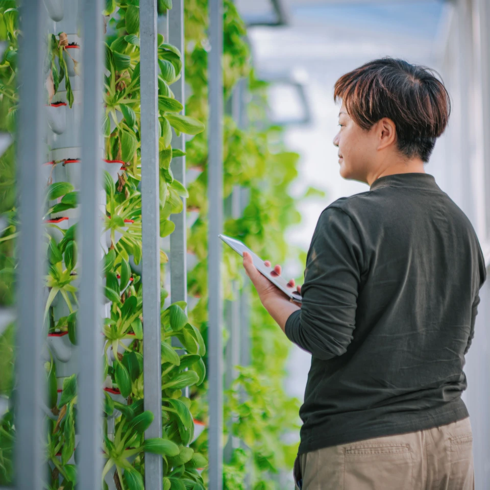 Whares AgriTech
