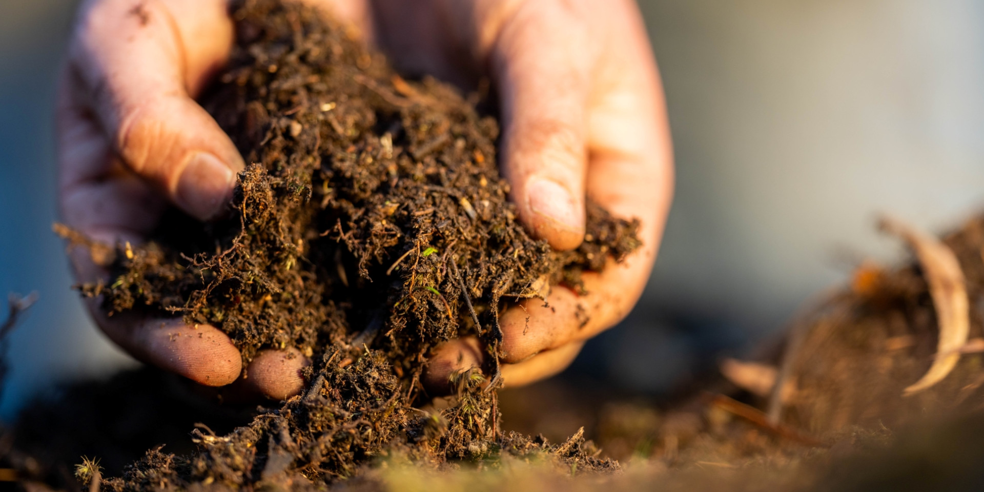 Digging for treasure Ai tool to help scientists access research under development banner rs