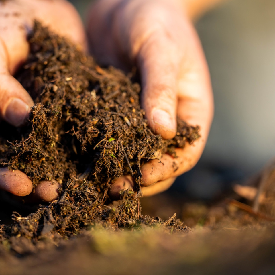 Digging for treasure Ai tool to help scientists access research under development banner rs